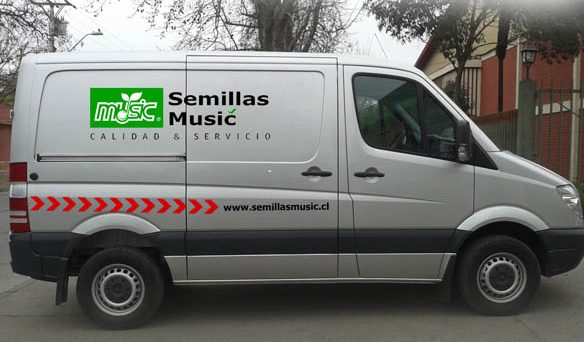 cropped despacho semillas music 1 Galería