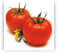1 tomate Productos