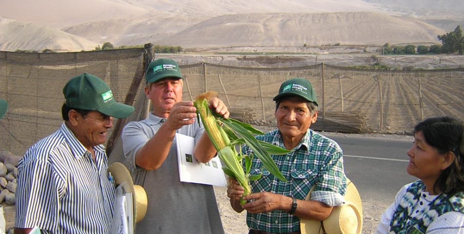 DSCN0021 950x480 Galería