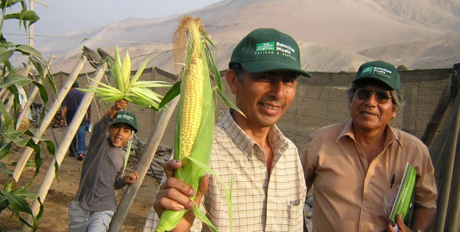 DSCN0022 1 950x480 Galería