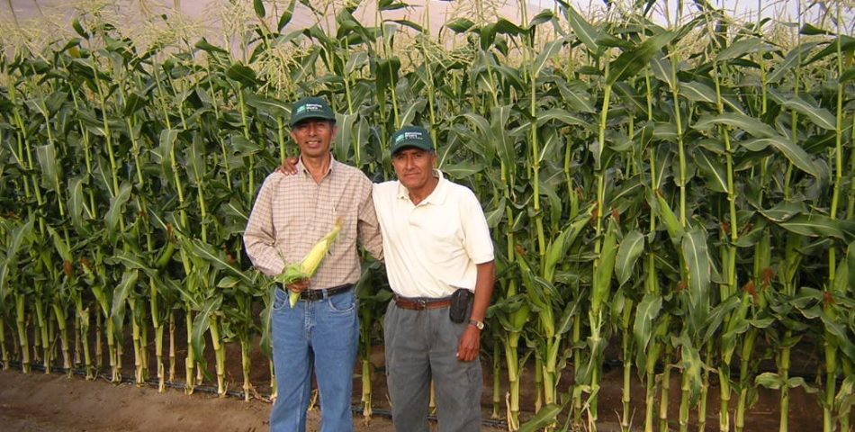 DSCN0024 950x480 Galería