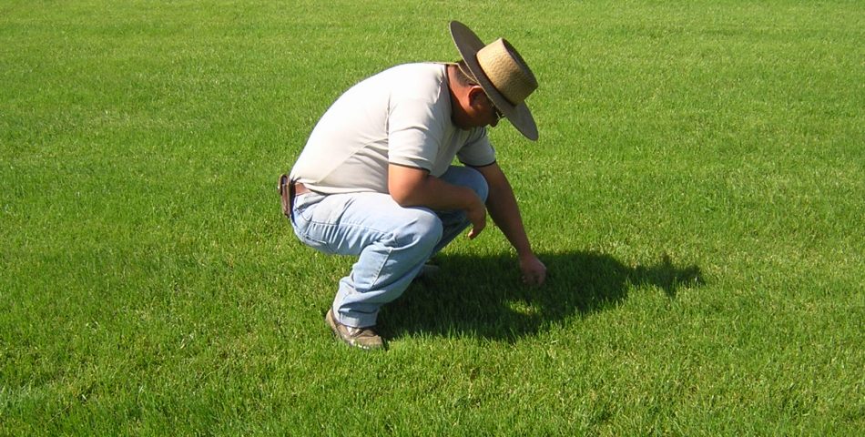 DSCN1385 1 950x480 Galería