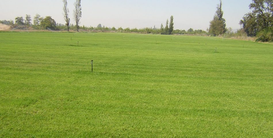 DSCN1386 950x480 Galería