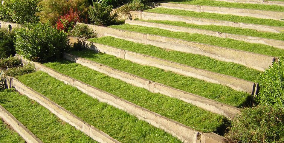 cesped jardín escalera 950x480 Galería