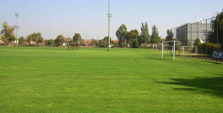 cesped pasto estadio 1 950x480 Galería