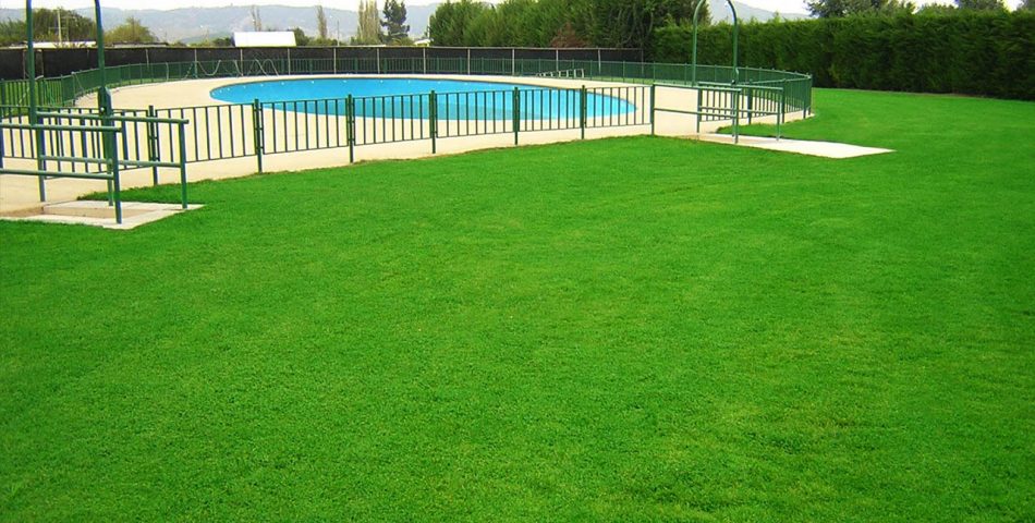cesped pasto piscina 1 950x480 Galería