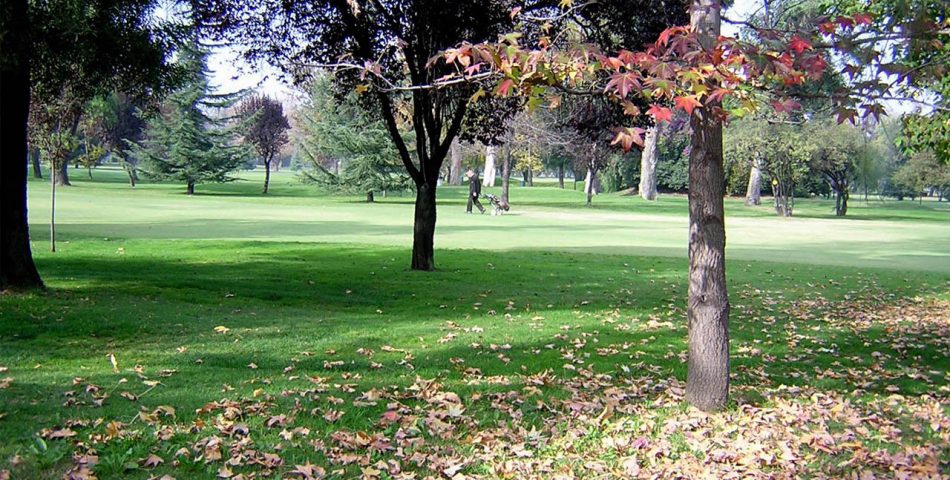 cesped pasto plazas 1 950x480 Galería