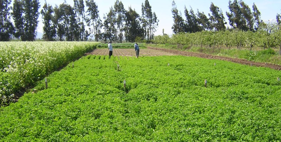 ens025 950x480 Galería