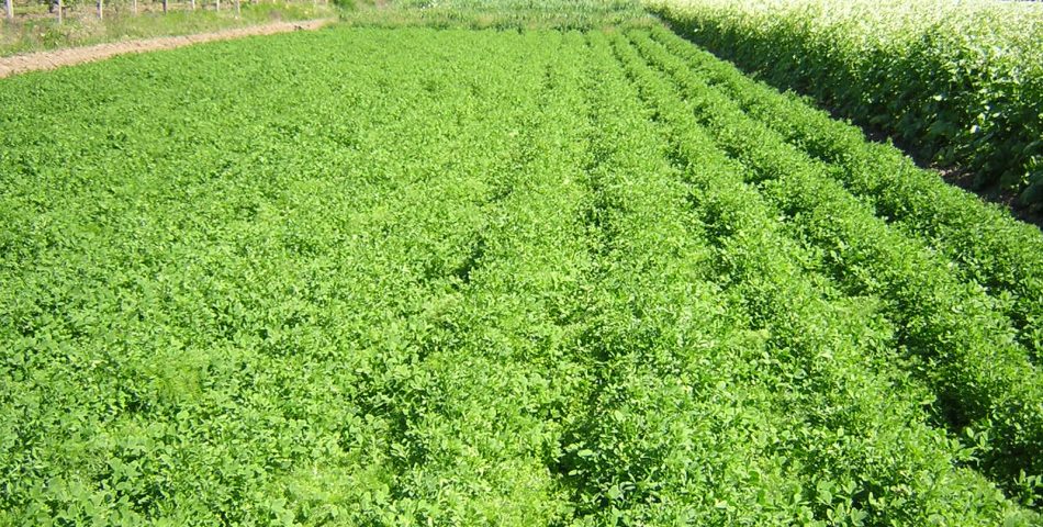 ens027 950x480 Galería