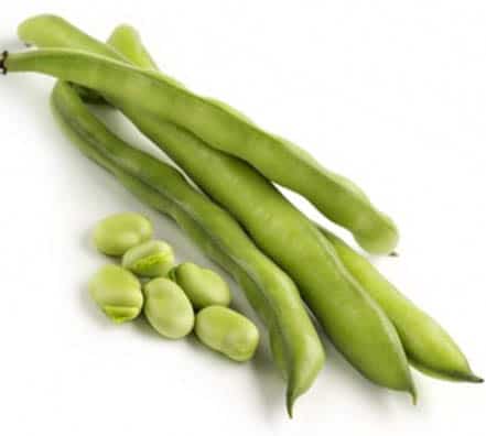 14habasuperaguadulce Haba