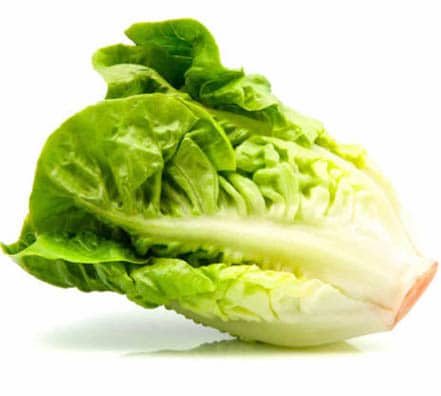 37 lechuga milanesa lo abarca Lechuga 3