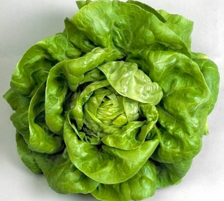 38 milanesa milanesa diomeda Lechuga 3