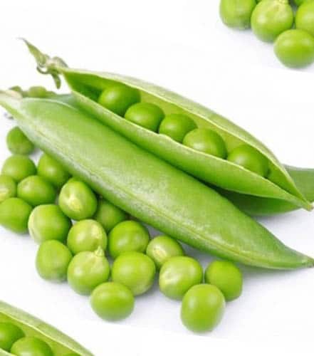 arveja perfected Arveja