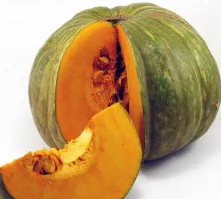 Semillas de césped, prados, hortalizas, forrajeras, chacareras, venta, distribuidora, importadora